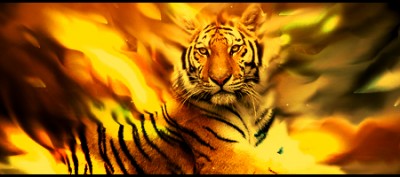 william blake flaming_tiger_by_originalboss-d57v9xg