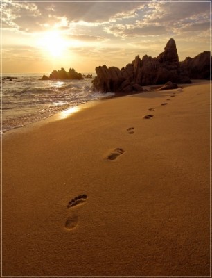 Footprints in the sand on beach near San José del Cabo, Mexico at sunrise