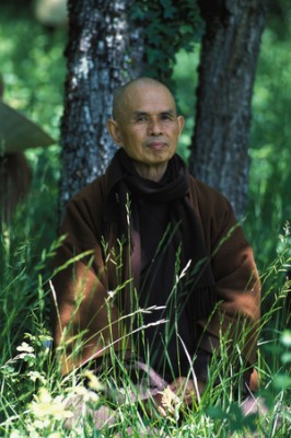 THICH NHAT HANH MFFV100Z